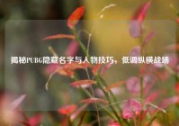 揭秘PUBG隐藏名字与人物技巧，低调纵横战场