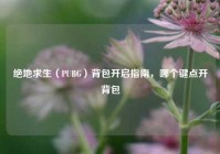 绝地求生（PUBG）背包开启指南，哪个键点开背包