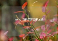 CSGO，我的手臂变形之旅