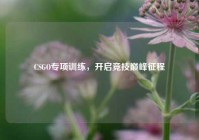 CSGO专项训练，开启竞技巅峰征程