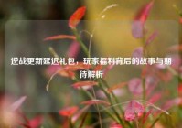 逆战更新延迟礼包，玩家福利背后的故事与期待解析