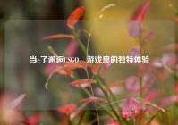 当e了邂逅CSGO，游戏里的独特体验