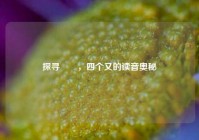 探寻叒叕，四个又的读音奥秘