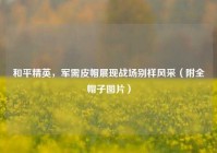 和平精英，军需皮帽展现战场别样风采（附全帽子图片）