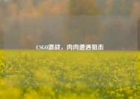 CSGO激战，肉肉遭遇狙击