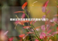 揭秘足球直播零延迟的奥秘与魅力