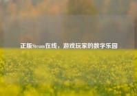 正版Steam在线，游戏玩家的数字乐园