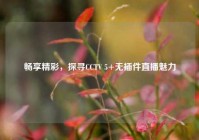 畅享精彩，探寻CCTV 5+无插件直播魅力