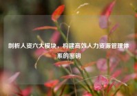 剖析人资六大模块，构建高效人力资源管理体系的密钥