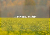 Csgo瞬闪绝技，Flick解析