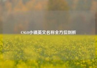 CSGO小镇英文名称全方位剖析