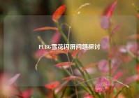 PUBG雪花闪屏问题探讨