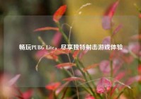 畅玩PUBG Lite，尽享独特射击游戏体验