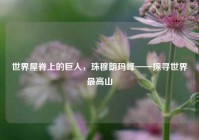 世界屋脊上的巨人，珠穆朗玛峰——探寻世界更高山