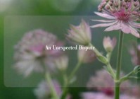 An Unexpected Dispute