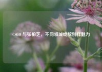 CSGO 与张柏芝，不同领域绽放别样魅力