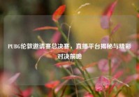 PUBG伦敦邀请赛总决赛，直播平台揭秘与精彩对决前瞻