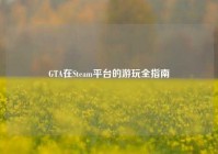 GTA在Steam平台的游玩全指南