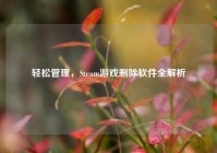 轻松管理，Steam游戏删除软件全解析