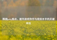 韩国pubg报点，提升游戏协作与竞技水平的关键所在