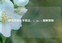 探寻吉他右手指法，i、m、a 图解奥秘