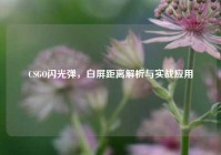 CSGO闪光弹，白屏距离解析与实战应用