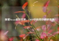 探索Steam虚拟世界，CSGO中的奇妙瞬移现象