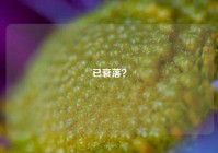 已衰落？
