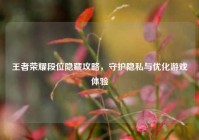 王者荣耀段位隐藏攻略，守护隐私与优化游戏体验