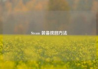 Steam 装备找回 *** 