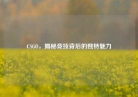 CSGO，揭秘竞技背后的独特魅力