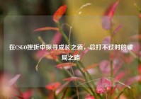 在CSGO挫折中探寻成长之道，总打不过时的破局之路