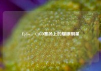 Eplise，CSGO赛场上的耀眼明星