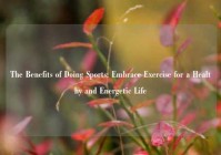 The Benefits of Doing Sports: Embrace Exercise for a Healthy and Energetic Life