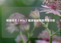 绝地求生（PUBG）瞄准镜缩放操作全攻略