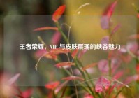 王者荣耀，VIP 与皮肤展现的峡谷魅力