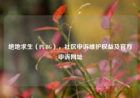 绝地求生（PUBG），社区申诉维护权益及官方申诉网址