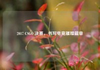 2017 CSGO 决赛，书写电竞璀璨篇章