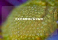 CF手游斯维特获取全攻略