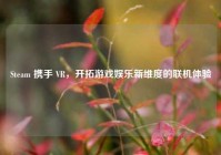 Steam 携手 VR，开拓游戏娱乐新维度的联机体验
