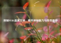 探秘PUBG晶翼女神，揭开神秘魅力与传奇面纱