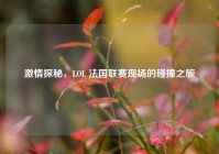 ***探秘，LOL 法国联赛现场的碰撞之旅