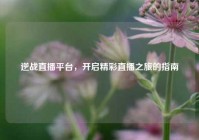 逆战直播平台，开启精彩直播之旅的指南