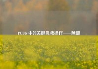 PUBG 中的关键急救操作——除颤