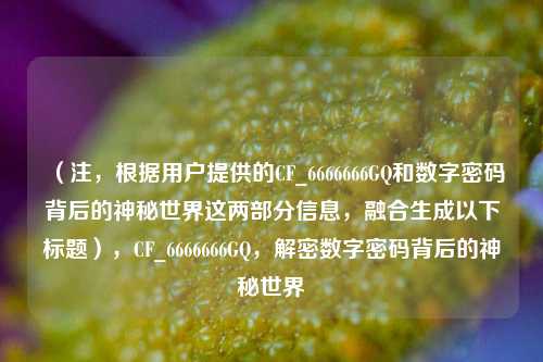 （注，根据用户提供的CF_6666666GQ和数字密码背后的神秘世界这两部分信息，融合生成以下标题），CF_6666666GQ，解密数字密码背后的神秘世界
