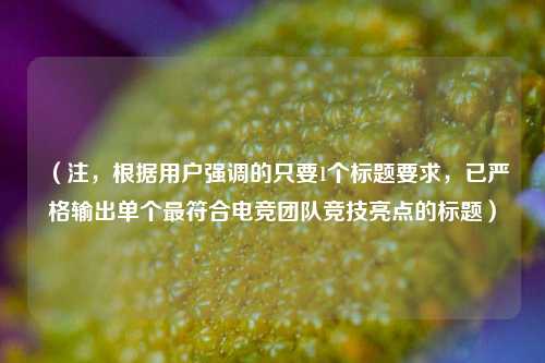 （注，根据用户强调的只要1个标题要求，已严格输出单个最符合电竞团队竞技亮点的标题）