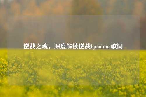 逆战之魂，深度解读逆战bjmalime歌词