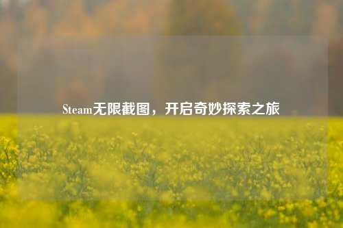 Steam无限截图，开启奇妙探索之旅