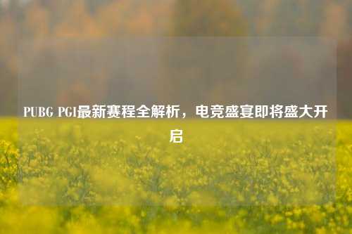 PUBG PGI最新赛程全解析，电竞盛宴即将盛大开启