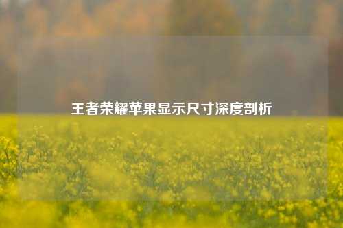 王者荣耀苹果显示尺寸深度剖析